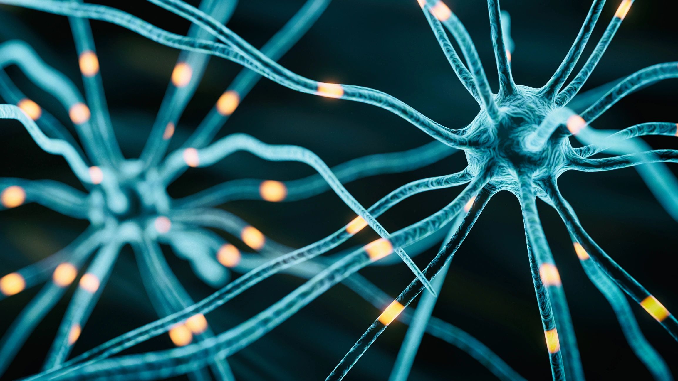 nervous system healing connection