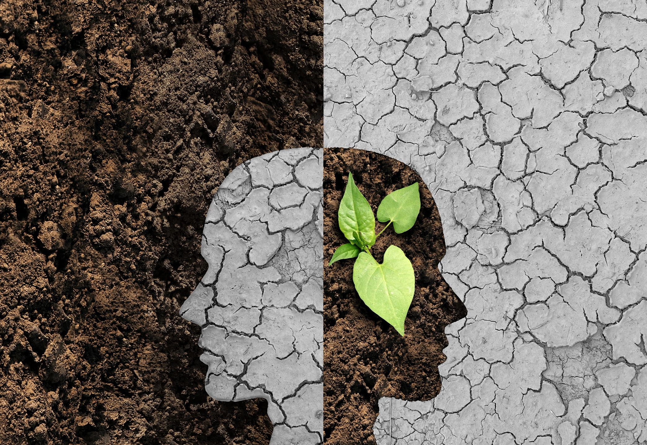 mental health resources